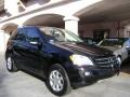 Black - ML 350 4Matic Photo No. 1