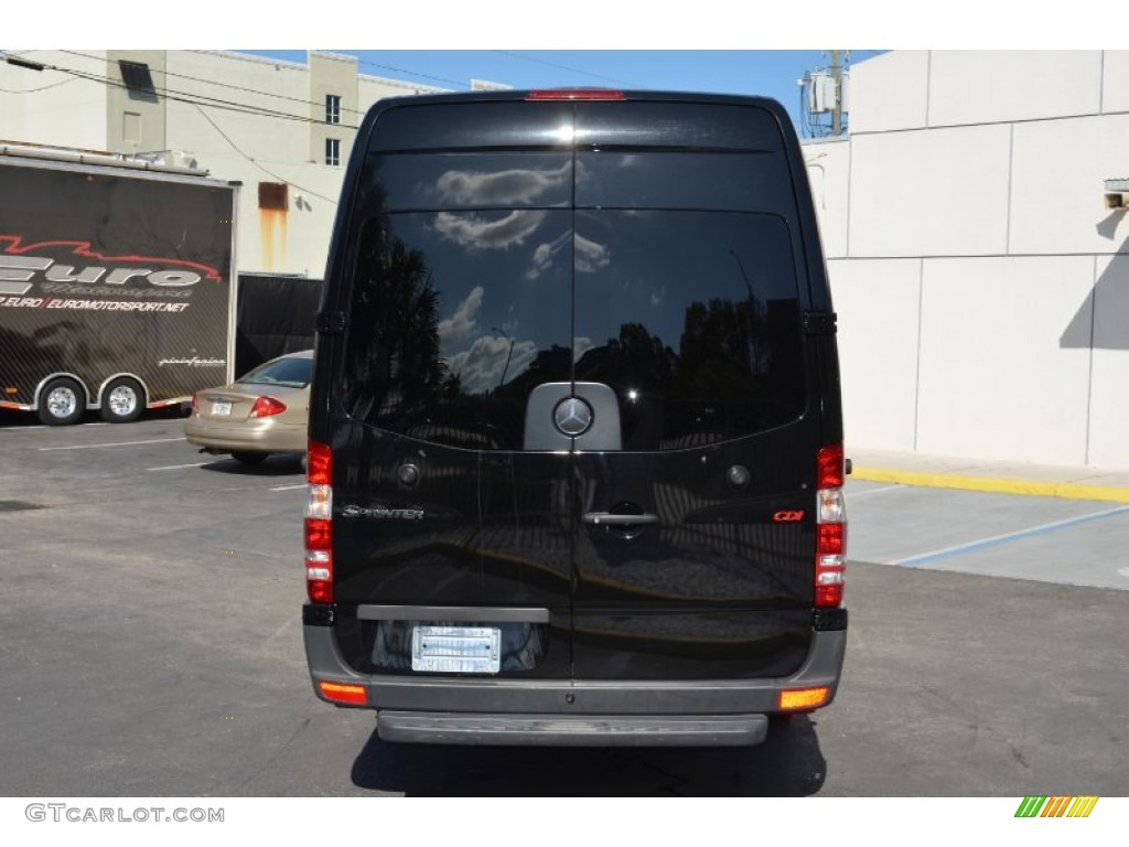 2010 Sprinter 2500 High Roof Limousine - Black / Sand/Driftwood photo #6