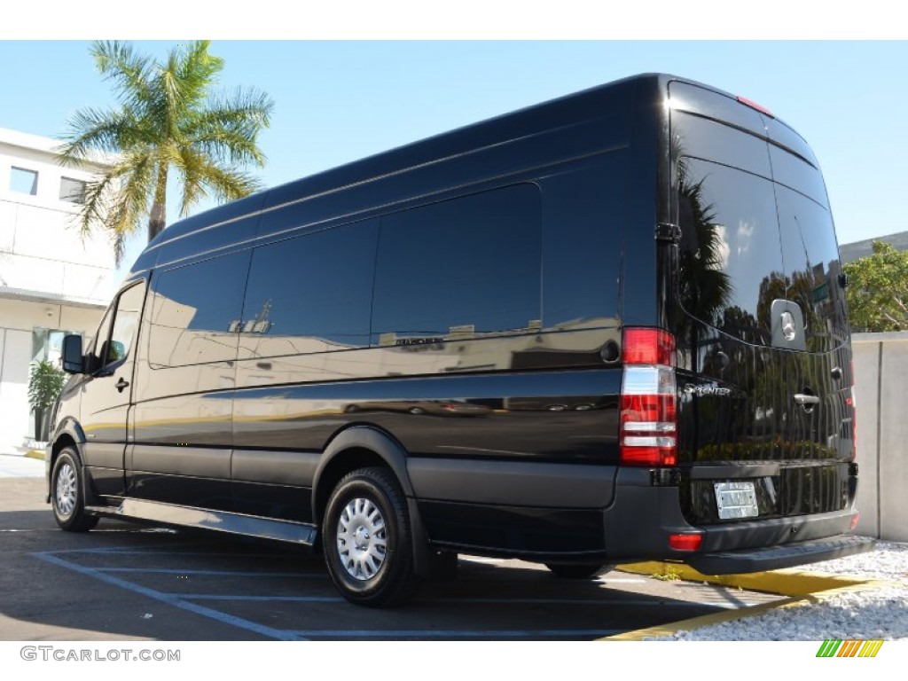 2010 Sprinter 2500 High Roof Limousine - Black / Sand/Driftwood photo #9