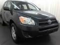 Black Forest Pearl 2009 Toyota RAV4 4WD