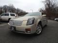 2007 Gold Mist Cadillac CTS Sport Sedan  photo #1