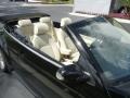 Black - New Beetle SE Convertible Photo No. 13