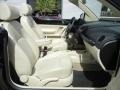 Black - New Beetle SE Convertible Photo No. 21
