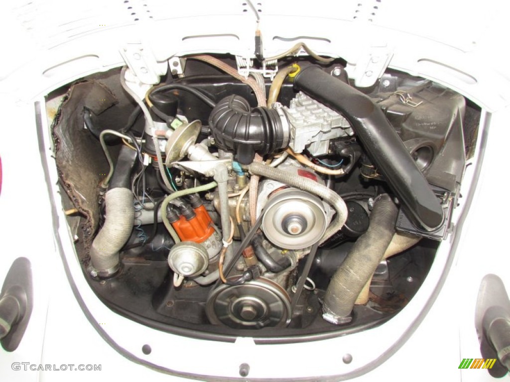 1979 Volkswagen Beetle Convertible Engine Photos