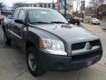 Granite Gray Metallic - Raider LS Extended Cab Photo No. 5