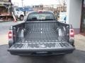 Granite Gray Metallic - Raider LS Extended Cab Photo No. 13
