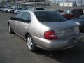 2001 Titanium Frost Pearl Nissan Altima GXE  photo #6