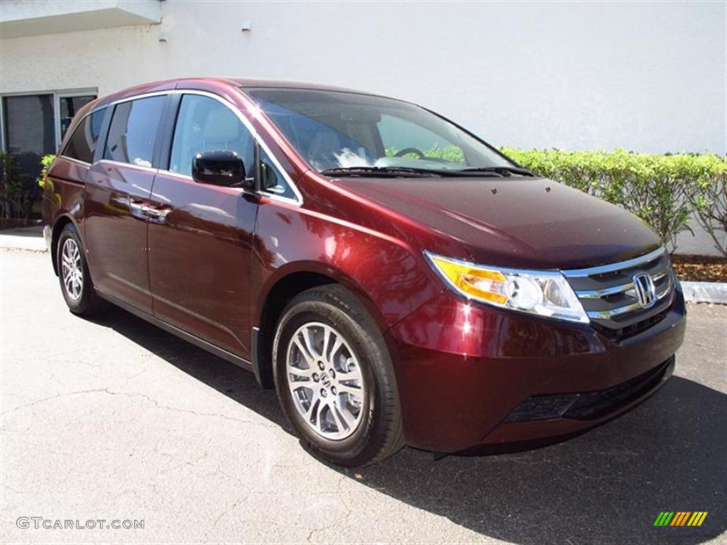 2012 Odyssey EX-L - Dark Cherry Pearl II / Beige photo #1