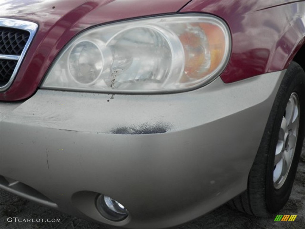 2005 Sedona EX - Ruby Red Metallic / Gray photo #4