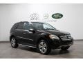 Black - ML 350 4Matic Photo No. 1