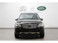 Black - ML 350 4Matic Photo No. 3
