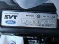 Info Tag of 2010 Mustang Shelby GT500 Coupe
