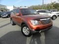 Copperhead 2009 Kia Borrego LX V6