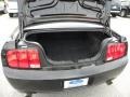Black - Mustang Bullitt Coupe Photo No. 11