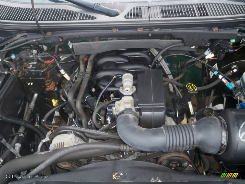 2002 F150 XL Regular Cab 4x4 - Dark Highland Green Metallic / Medium Graphite photo #17