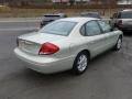 Gold Ash Metallic - Taurus SEL Photo No. 7