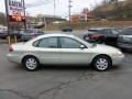 Gold Ash Metallic - Taurus SEL Photo No. 8
