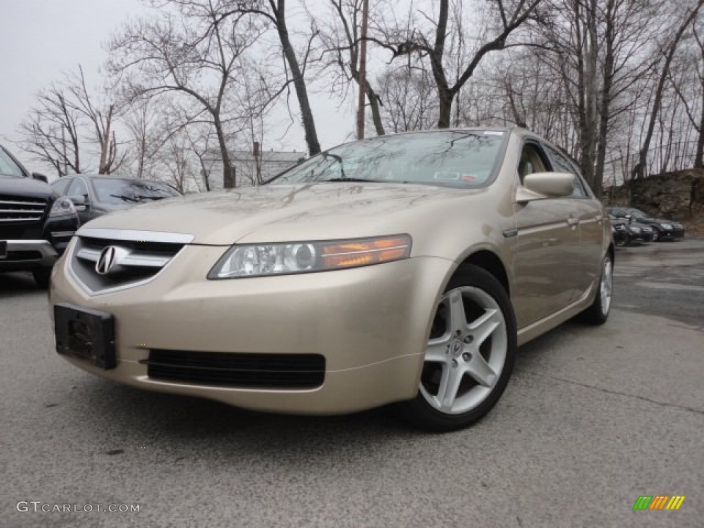 Desert Mist Metallic Acura TL