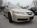 2005 Desert Mist Metallic Acura TL 3.2  photo #3