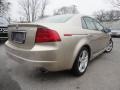 2005 Desert Mist Metallic Acura TL 3.2  photo #10