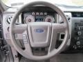 Medium Stone 2010 Ford F150 XLT SuperCab 4x4 Steering Wheel