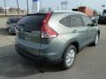 Opal Sage Metallic - CR-V EX-L 4WD Photo No. 5