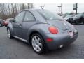Platinum Grey Metallic - New Beetle GLX 1.8T Coupe Photo No. 33