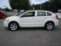 Stone White - Caliber SXT Photo No. 9