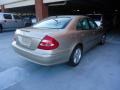 Desert Silver Metallic - E 320 Sedan Photo No. 7
