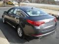 Platinum Graphite - Optima LX Photo No. 6
