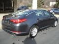 Platinum Graphite - Optima LX Photo No. 8