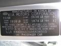 6C: Clear Silver 2010 Kia Rio LX Sedan Color Code