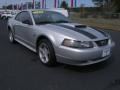 2001 Silver Metallic Ford Mustang GT Coupe  photo #3