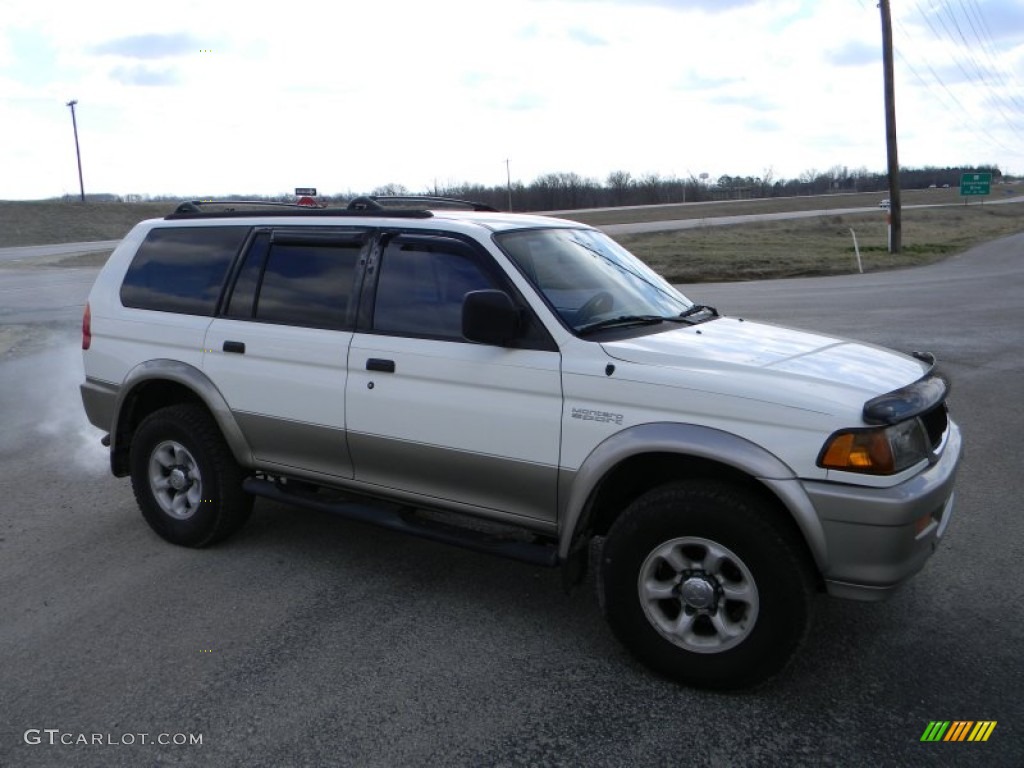 1999 Montero Sport LS - Alpine White / Gray photo #2