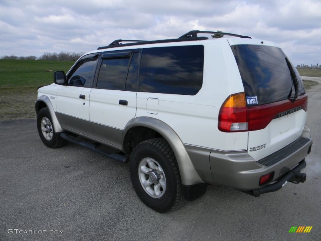 1999 Montero Sport LS - Alpine White / Gray photo #3