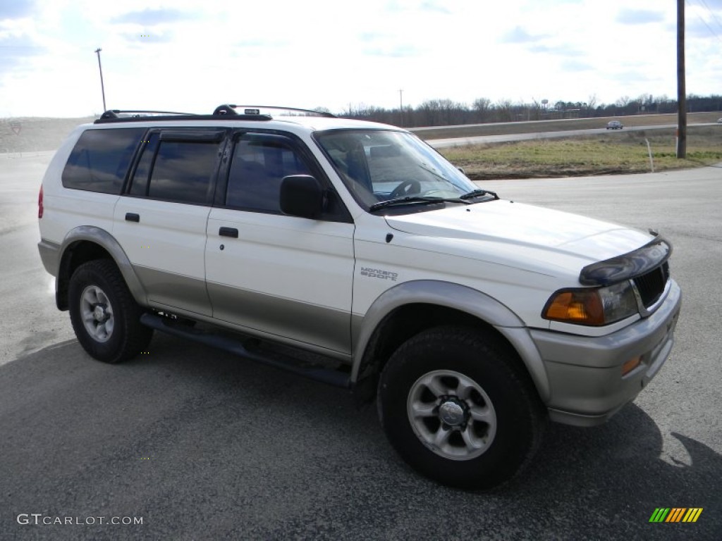 1999 Montero Sport LS - Alpine White / Gray photo #5