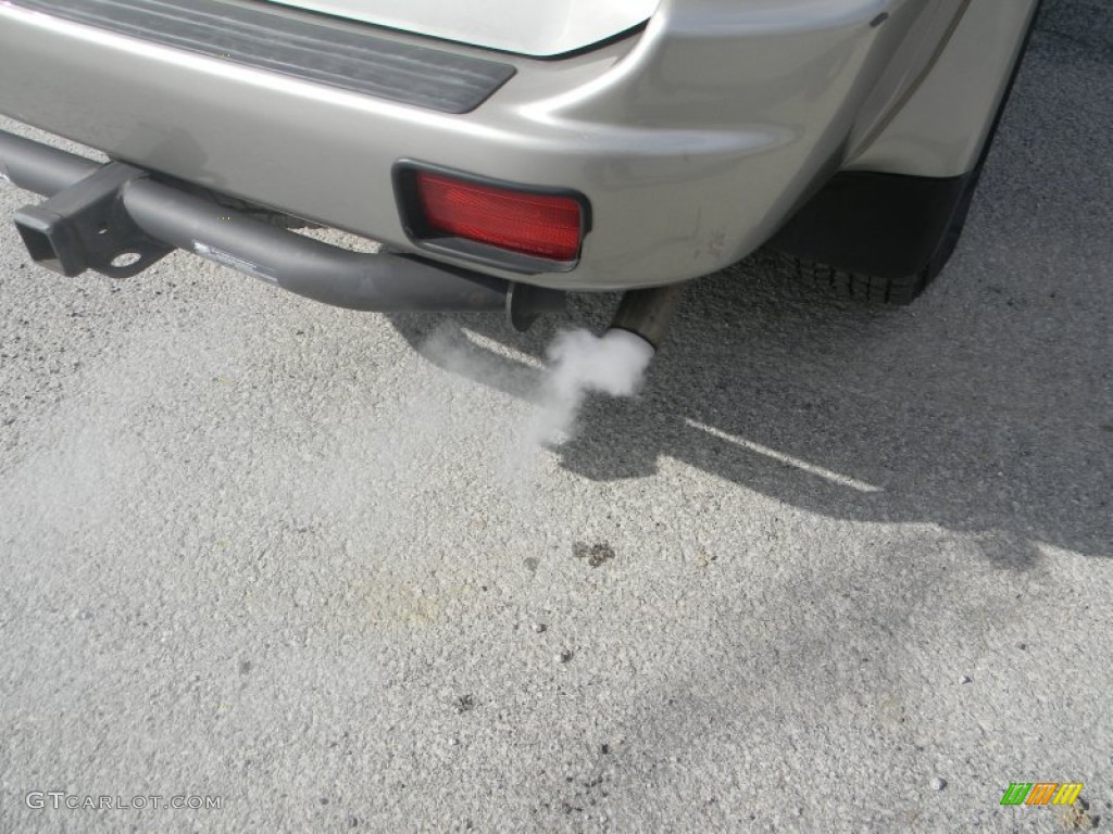 1999 Montero Sport LS - Alpine White / Gray photo #8