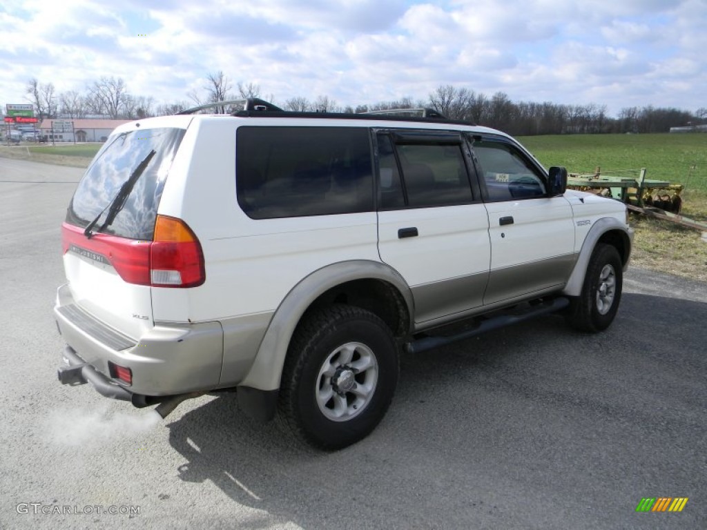 1999 Montero Sport LS - Alpine White / Gray photo #9