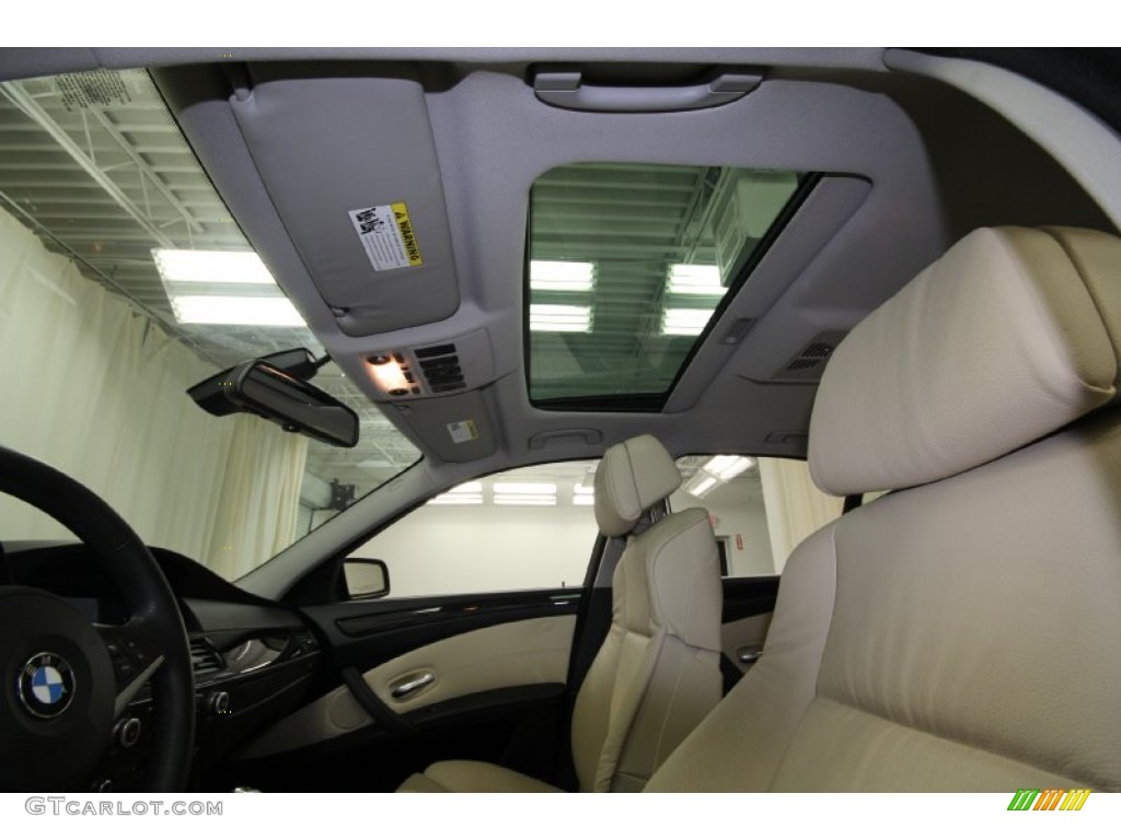 2010 BMW 5 Series 528i Sedan Sunroof Photo #61845233