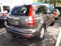 2010 Urban Titanium Metallic Honda CR-V EX-L AWD  photo #2