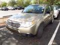 Topaz Gold Metallic - Forester 2.5 X Photo No. 4