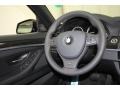 Black Steering Wheel Photo for 2012 BMW 5 Series #61847436