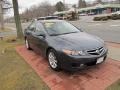 Carbon Gray Pearl - TSX Sedan Photo No. 3