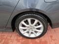 Carbon Gray Pearl - TSX Sedan Photo No. 9