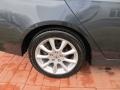 Carbon Gray Pearl - TSX Sedan Photo No. 10