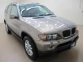 Kalahari Beige Metallic 2005 BMW X5 3.0i