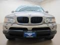 Kalahari Beige Metallic - X5 3.0i Photo No. 3