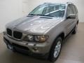 Kalahari Beige Metallic - X5 3.0i Photo No. 4