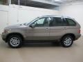 Kalahari Beige Metallic - X5 3.0i Photo No. 5