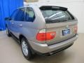 Kalahari Beige Metallic - X5 3.0i Photo No. 6